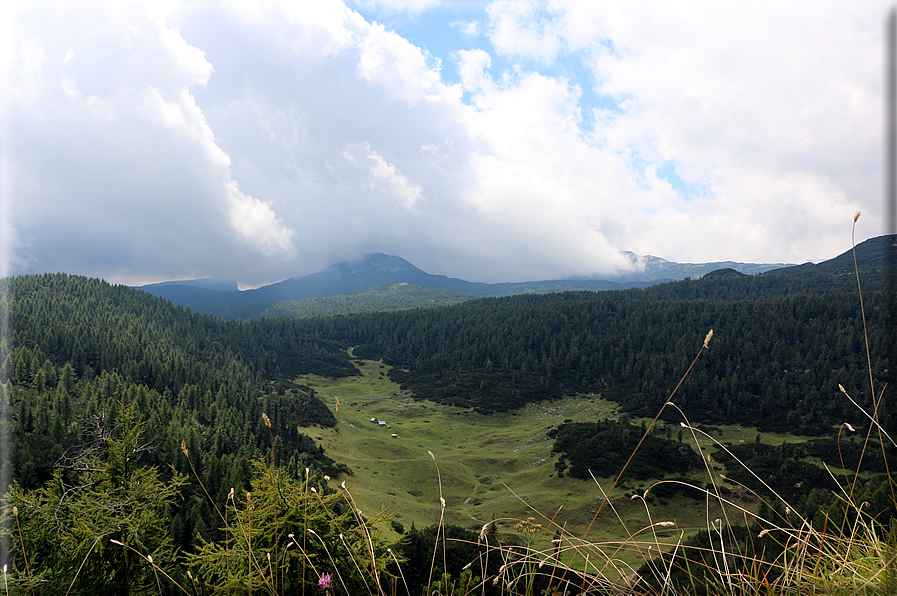 foto Trincee sul Monte Lozze